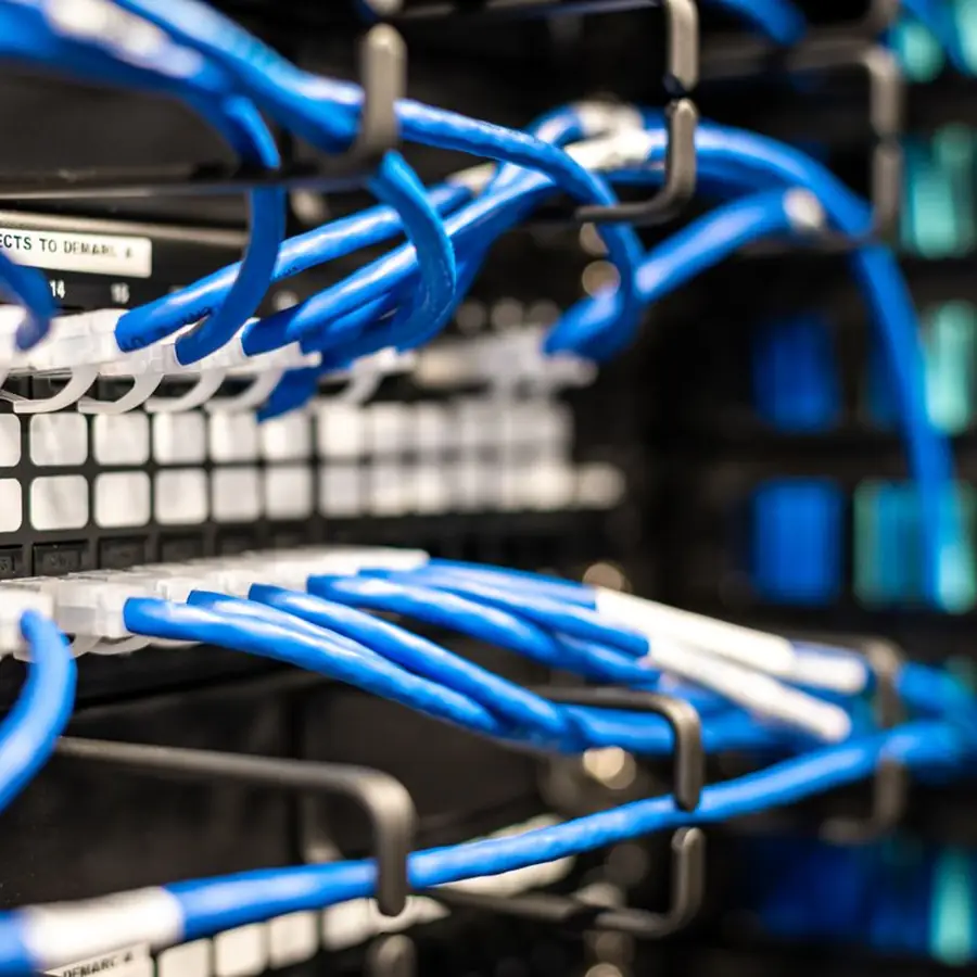 Bundles of blue network cables connected to a switch